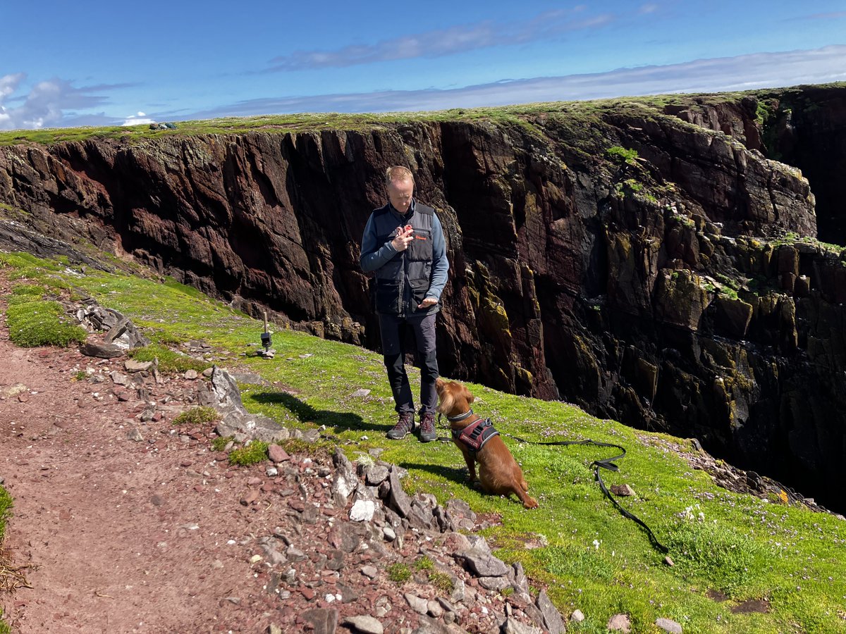 SkokholmIsland's tweet photo. We had a visit from Greg and Jinx, the latter a 4 year old Cocker Spaniel trained to detect rats thanks to Biosecurity for Wales (administered by RSPB Cymru). There was no sign, although we'll need a follow up visit in 3 weeks, whilst trail cams and chew blocks have been deployed https://t.co/SFNlU0vbEd