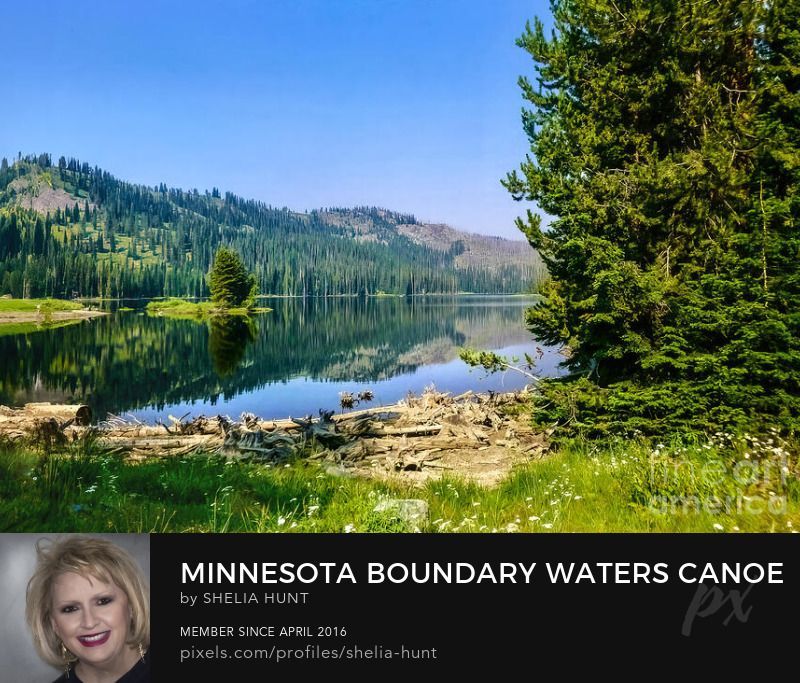 Give the Gift of Art with this beautiful new image of Minnesota Boundary Waters Canoe Area---> buff.ly/3yOKlxt #SheliaHuntPhotography #BWCA #BWCAW #Wilderness #Minnesota #GrandMaraisMN #BoundaryWaters #canoeing #canoe #BuyIntoArt