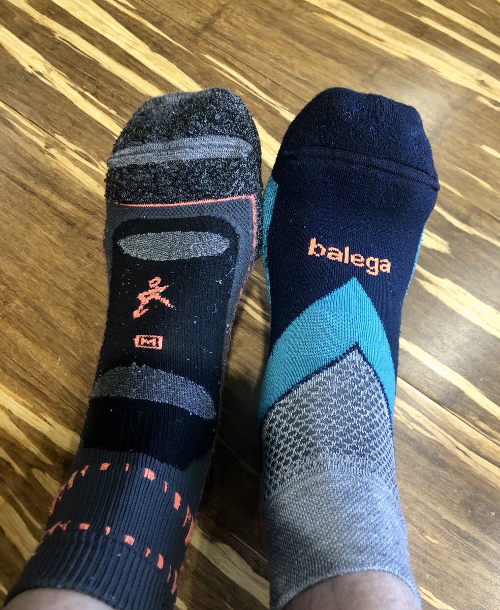 kim carroll tweet media