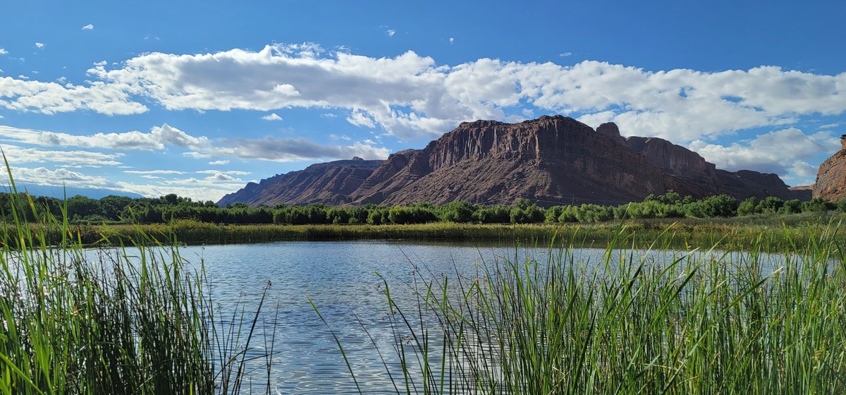 Happy last #WetlandWednesday! The UGS studies plant and water trends at the Scott and Norma Matheson Wetlands Preserve in Moab, UT as part of a larger water budget study. To learn more about wetland and vegetation mapping at the preserve–ugspub.nr.utah.gov/publications/o…