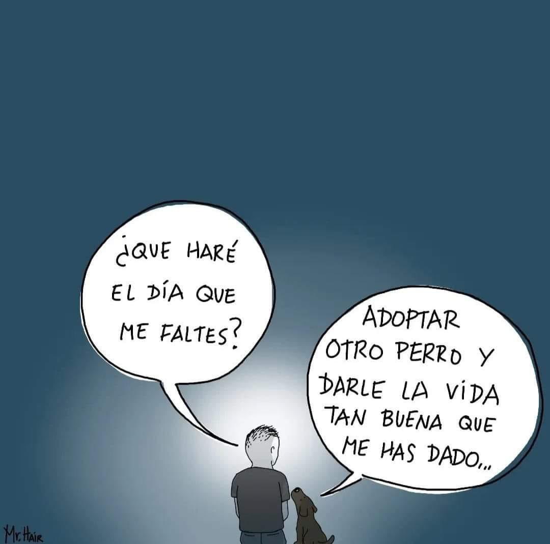 Mayú Guillén 🇲🇽🇺🇦 (@mayumiguillen) on Twitter photo 