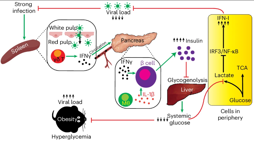 Waggoner Lab tweet media