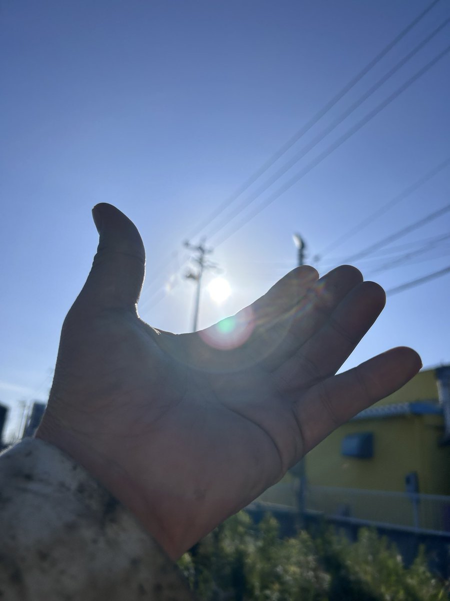 おはょございます(ﾉ≧∀≦)ﾉ☀️ 今日もよい1日を®️ #太陽に手を伸ばして