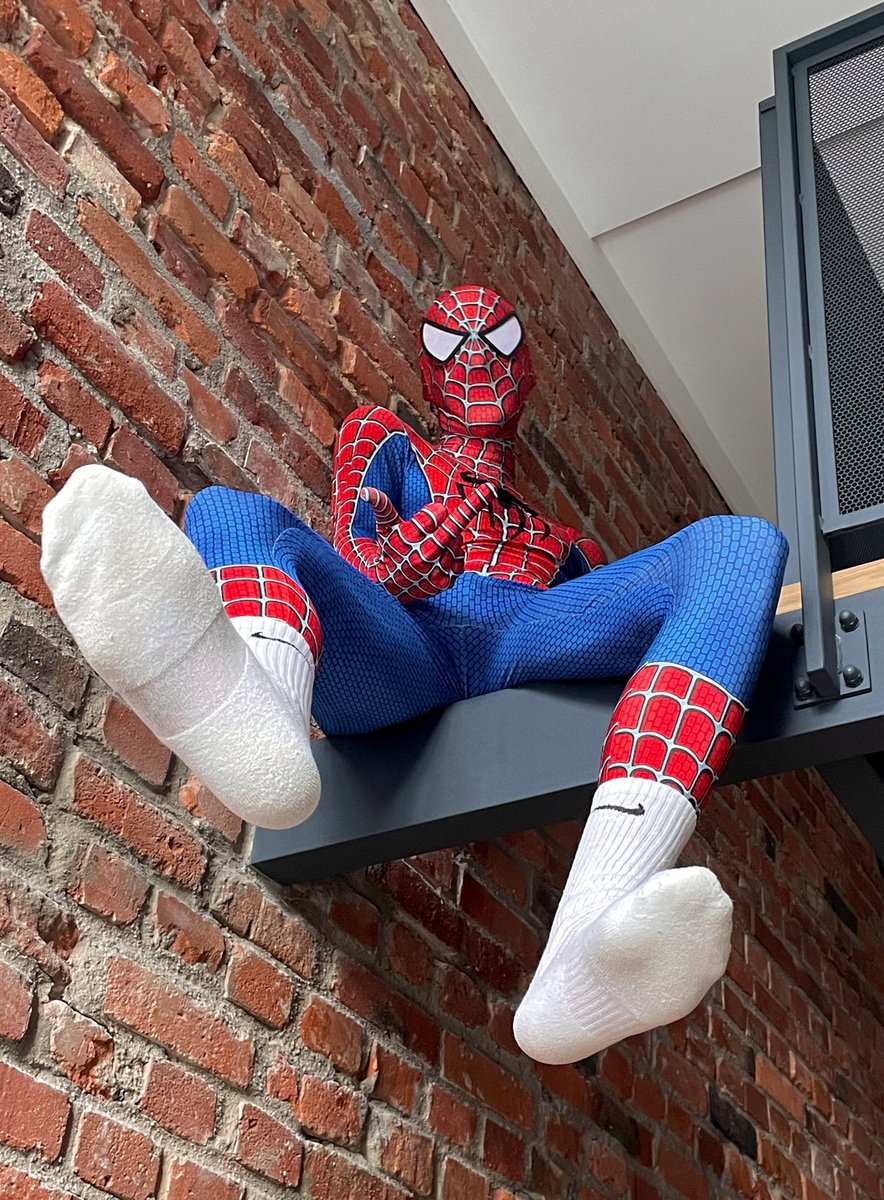 svcksocks 🇵🇱 3.9k tweet media