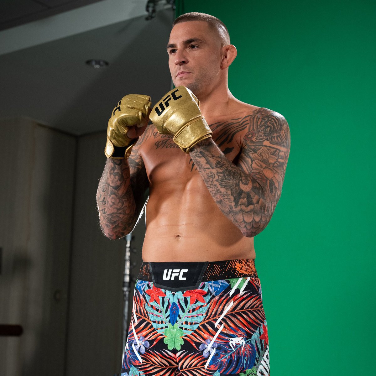A first look at Dustin Poirier in the new gold championship gloves that will debut in the #UFC302 main event 👊