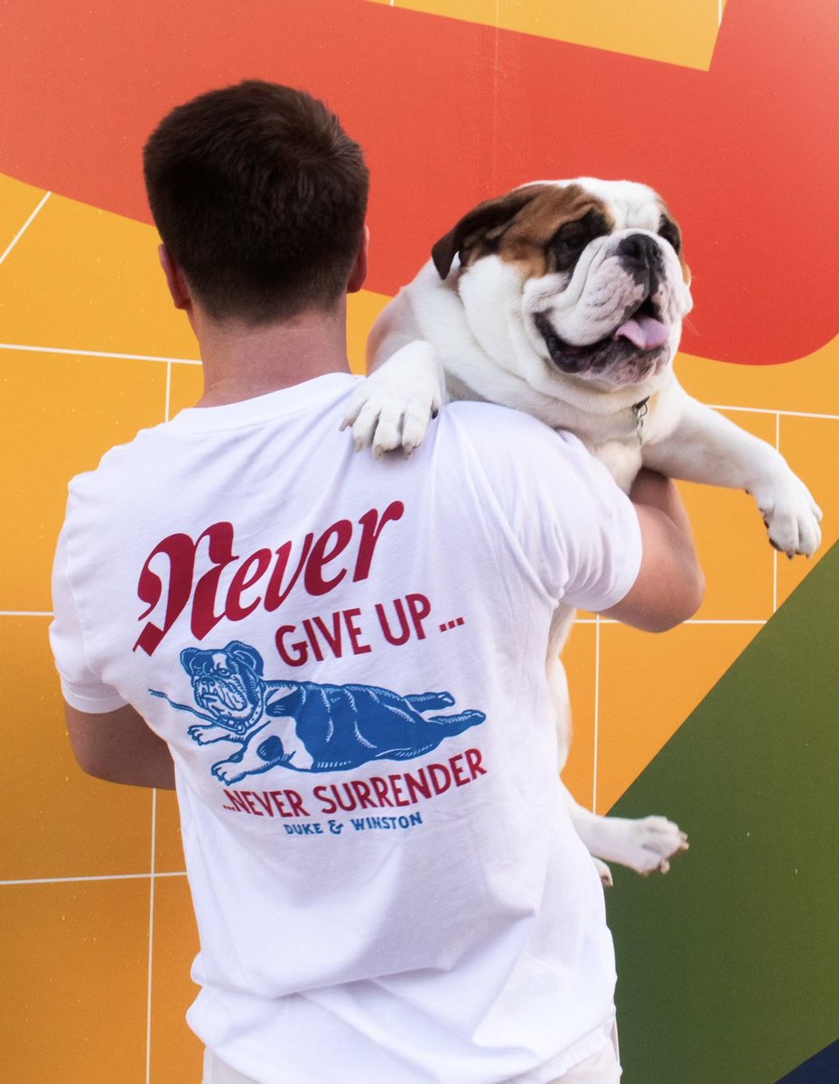 A bulldog never gives up, unless it’s in the middle of a walk. #bulldogs #nevergiveup #neversurrender