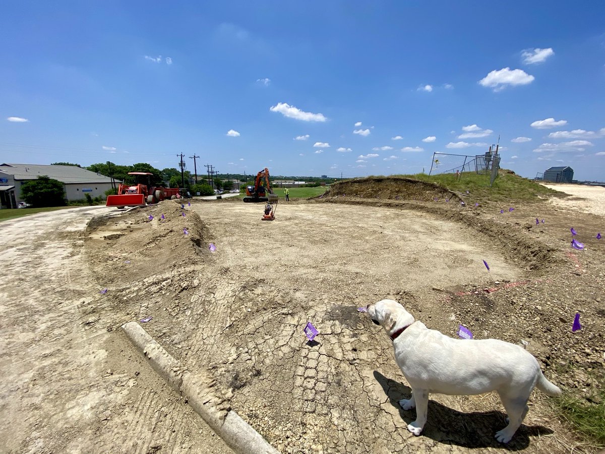 Gus supervising new putting green construction. 🐶⛳️ #QuarrygolfSA #HeritageLinks