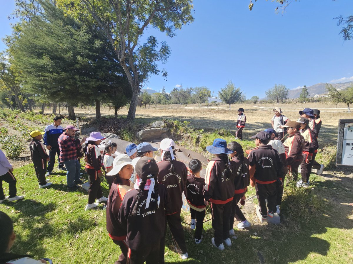 Moving Mountains tweet media