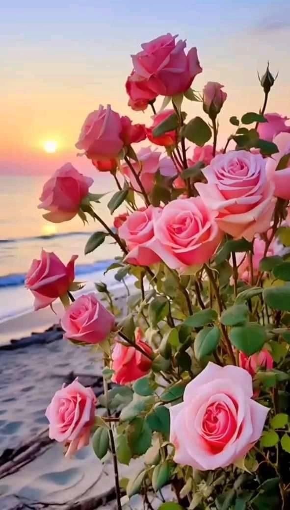 🌹✰﷽✰🌹
𝐅ⱺᥣᥣⱺω 𝐔𝗌 4🔙💯
#MP_G 🍒
@Uzma7t <a href="/adl883/">adil zahoor</a>
<a href="/_Arsh1/">🅰🆁🆂🅷 🤍</a> <a href="/_sahi73/">👁𝒲𝒶𝓈𝒾𝓂 ℛ𝒾𝒶𝓏👁</a>
@Rnapti <a href="/1fazl2/">فضـ𝓪𝓴𝓫𝓪𝓻ـل</a>
🍒
<a href="/TAPTI_/">Tehmina Abbas</a>
@Hvn_80
<a href="/Mrsd78/">᯾ 𝑴𝒖𝒓𝒔𝒉𝒂𝒅 ᯾</a>
🍒
<a href="/1adann/">🅲🅷,🅰🅳🅽🅰🅽</a>
@AS1k34
<a href="/_AN786/">@Ananya_Fatima ❤️</a>
🍒
<a href="/MN_865/">Muhammad Naveed🇵🇰</a>
@HKhosa_
@pdk703
🍒
@1Mahii1
@aha_703 ©
🍒
<a href="/Im_wqr/">Wqrmughal ⁵⁶ 🇵🇰</a> @1_huma
@kubn_ <a href="/_Fs06/">فاطمہ ریاض</a> <a href="/2Sehr/">🕊️𝕊ᴇʜᴇʀ 𝔹ᴜᴛᴛ🕊️ᴾᵃᵏᴾᵒʷᵉʳ</a>
<a href="/shz787/">🌟⭐️🌟🌟sʜᴀʜᴢᴀᴅ ᴍᴜɴɪʀ🌟⭐️🌟⭐️</a> <a href="/60ns_/">Naveed Shaikh</a> <a href="/Afd8_/">Marif AfriDi</a>