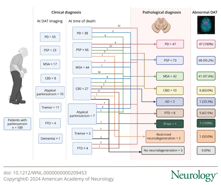 According to this study, DAT imaging is a useful diagnostic tool in the differential diagnosis of parkinsonism, although clinicians should be aware of its diagnostic properties and limitations. Learn more: bit.ly/3yymfqP

#Neurology #NeuroTwitter