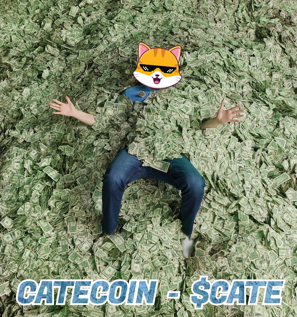 CateCoin tweet media