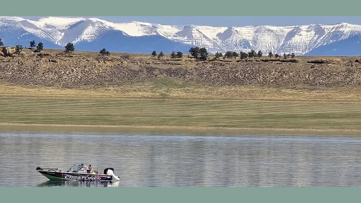 Saltwater on the Fly tweet media