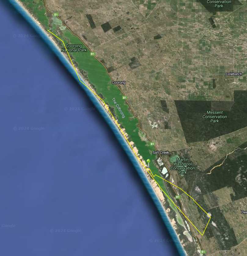 chestnuttealSA's tweet photo. 📡Exciting Tracking update! 📡

In the past 24 hours, Crystal, one of our female Chestnut Teal, has travelled over 70kms, to a small inland water source south of Salt Creek.

This is the furthest movement we have seen from any individual so far...
1/2 https://t.co/9B2T8k0kpu