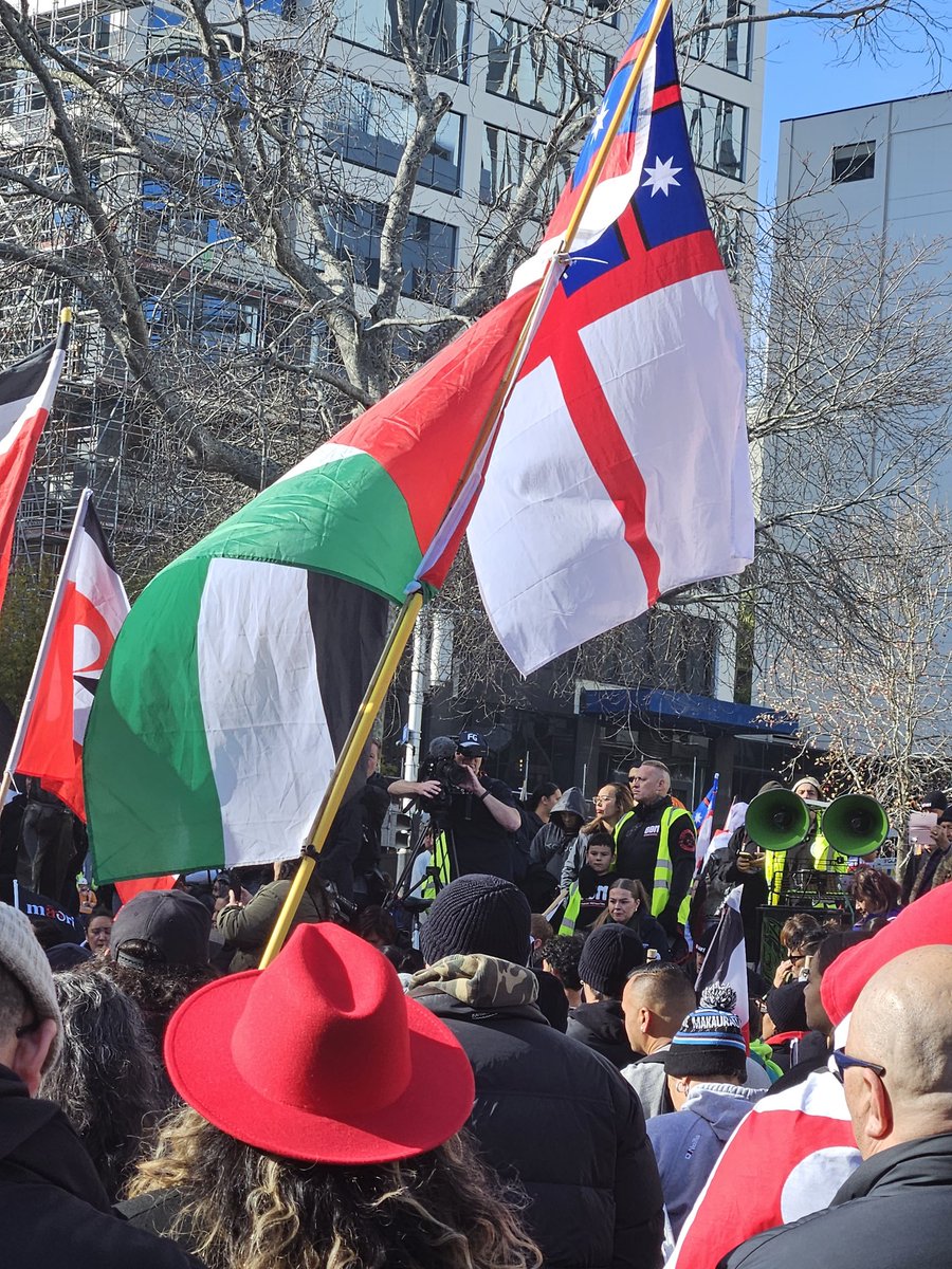 LeaCowley's tweet photo. Thousands https://t.co/IamEAoQbca was great to see Māori as well as Samoan,Tongan,and Palestinian flags.All in solidarity with Māori.Connecting the dots in solidarity with global Indigenous causes.Haka,singing n chanting while on march down Queen st.
Emotional day. Love it ❤️ https://t.co/fhsZgwxkWB