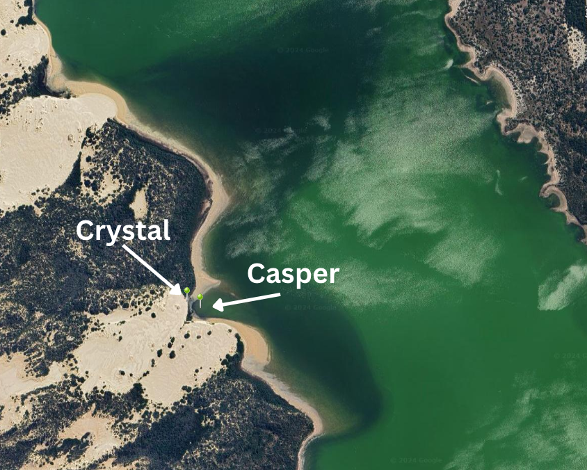 chestnuttealSA's tweet photo. A male individual, Casper, seemed to have followed after Crystal last night and has now stopped off in the same bay by Salt Creek.

Keep following for more exciting updates! 🦆
2/2

#GPStracking #duckresearch #southaustralia #coorong https://t.co/rnIXwy4PhT