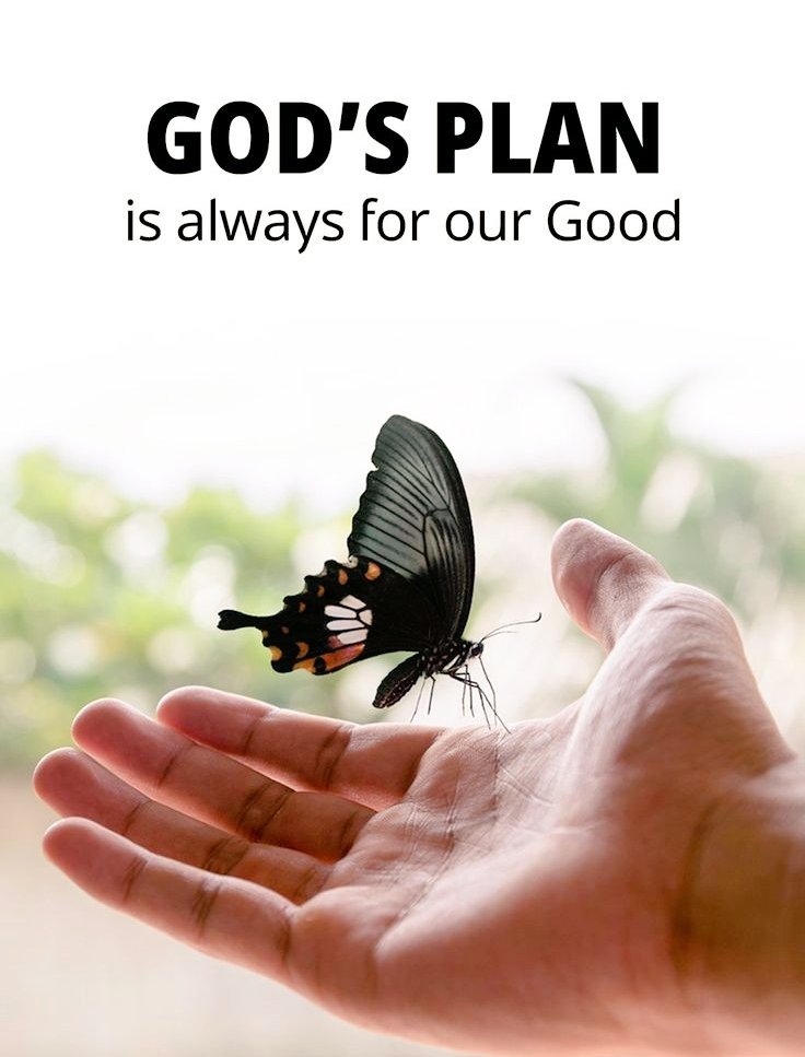 God 'S  Plan 
is Always for our Good....♡🫶🏻
#BelieveinGod
#Thoughtoftheday