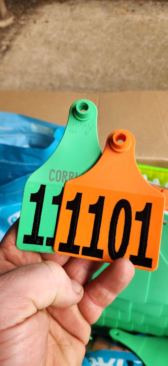 Brian Corr tweet media