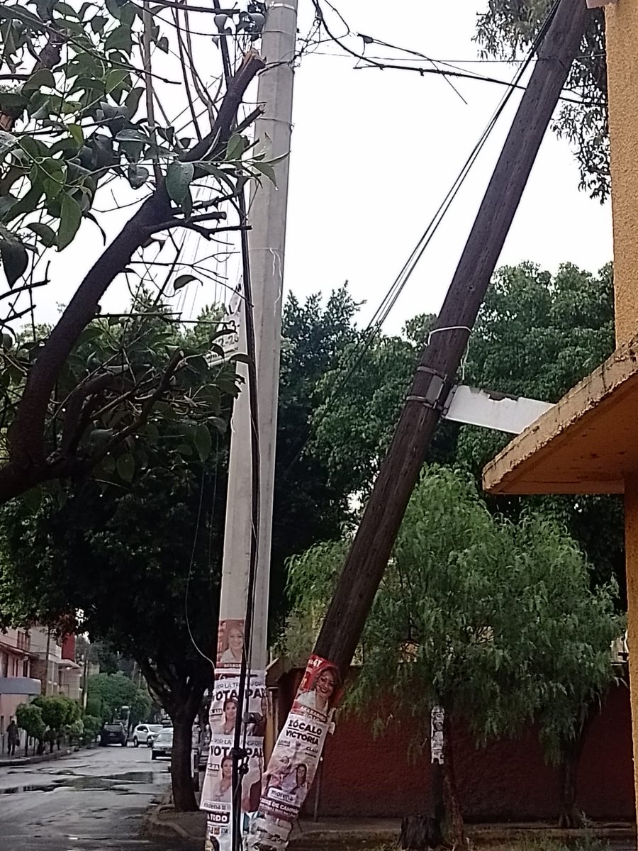 veronica maldonado tweet media