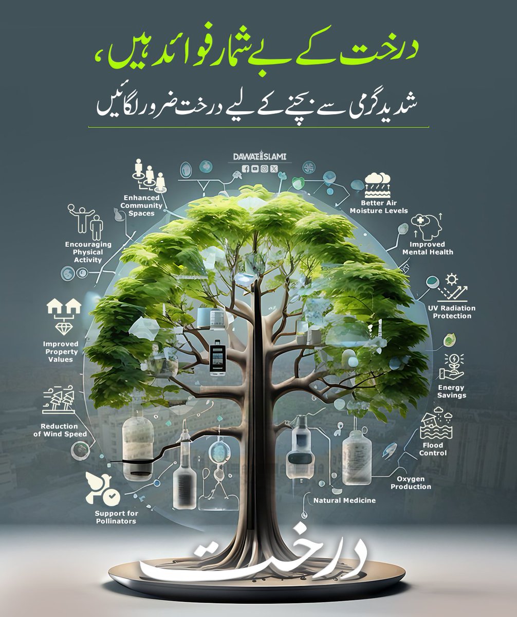بڑھتی ہوئی گرمی کی روک تھام کیلئے درخت لگائیں
#Tress 
#plantation