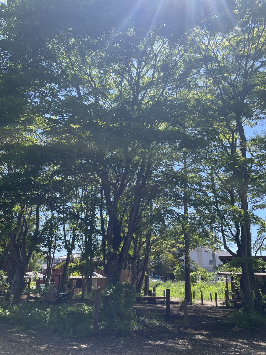 miyotade's tweet photo. 軽井沢コモングラウンド最高でした🌲 https://t.co/kFhMvo3Ljm
