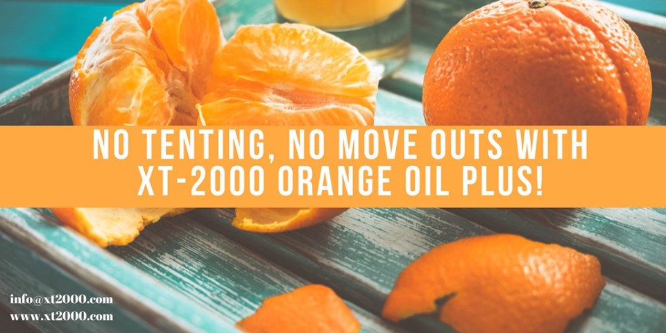 XT-2000 Orange Oil Plus leaves no toxic residues or by-products behind, is made from a renewable source, affordable, and can be used to treat your home without tenting. No tenting means you don’t have to move out of your home for treatment!

#XT2000 #OrangeOil #PestControl