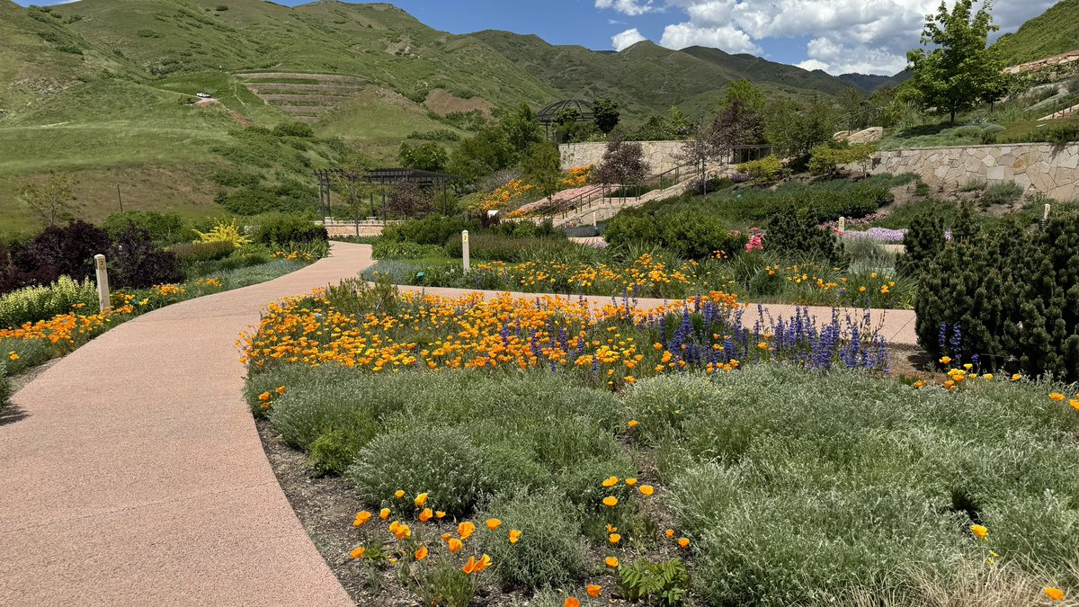 kellybaronphd's tweet photo. Took a gorgeous walk through @redbuttegarden yesterday. The @UUtah health plan incentivizes wellness activities throughout the year. One way to lower your insurance premium is visiting the gardens 6x in a year. Challenge accepted! #forrestbathing https://t.co/rFu8jvJpXV