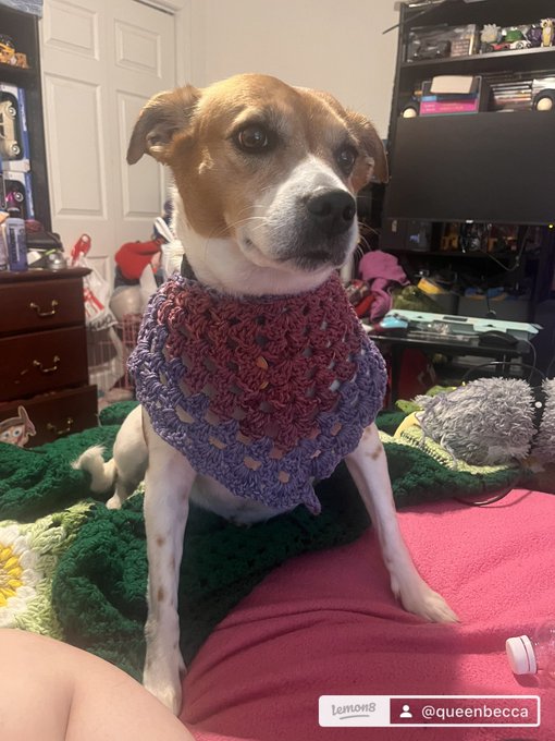 Just because I am starting to sell my #crocheted work! DM if you want a custom shawl, hat, scarf or bandana<a href="/tag/crocheted"class="tags">#crocheted</a><a href="/tag/crochet"class="tags"><span>#crochet</span></a>