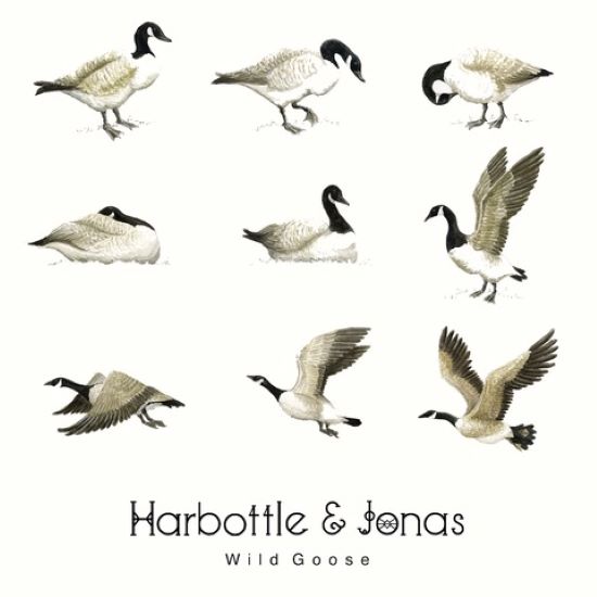 In new album Wild Goose, @Harbottle_Jonas take you to worlds lead you into the mystical, spiritual, and supernatural. And it leaves you wanting more. (It's out on Friday 31 May) | #Devon #Folk #NewMusic theprsd.co.uk/2024/05/25/wil…