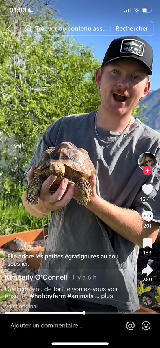 cherche homme qui voudra une tortue comme ça avec moi