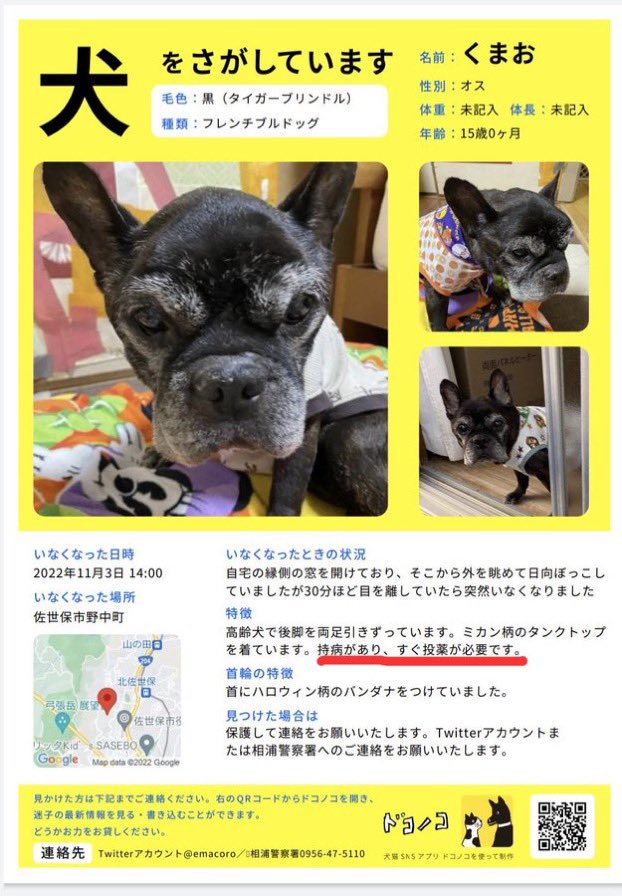 佐世保市その近郊に訪問される方へお願いです。
訪問先や近所でくまちゃんに似た犬を見かけたりしませんか？また、貰った、保護しているなどの話を耳にしないでしょうか。
SNSやチラシなどで気が付かずそのまま飼っているかもしれません。探している人がいると伝えて下さい。
＃佐世保市近郊