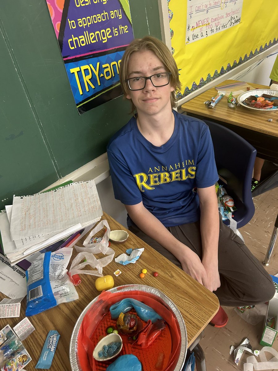 Annaheim School tweet media