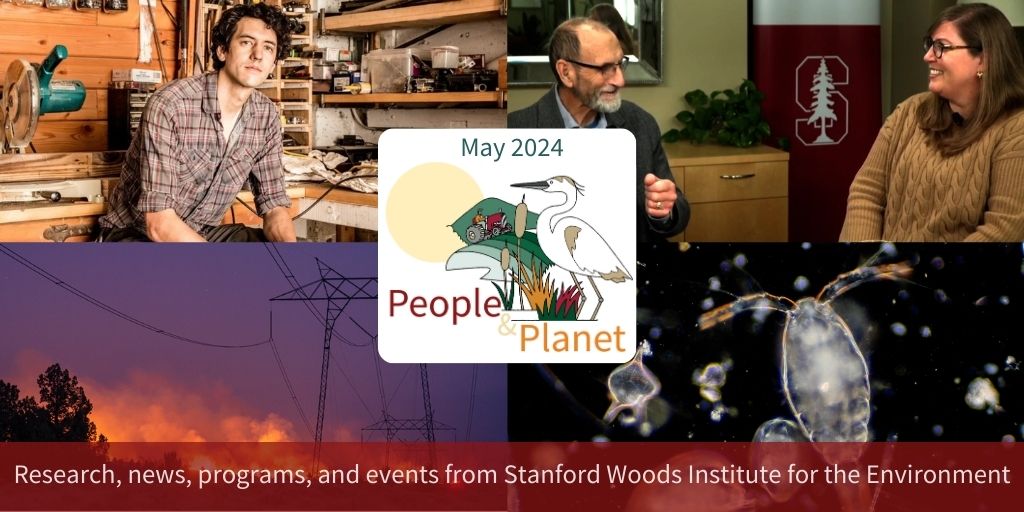 Read the latest #Stanford environment news in People&Planet ➡ bit.ly/45apTDt 🔬 Revealing the secret lives of plankton 🔥 Reducing utilities' wildfire risk 🎨 Turning ocean sediment into art