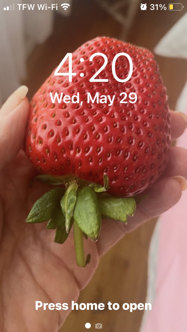 Jurassic Blueberries tweet media