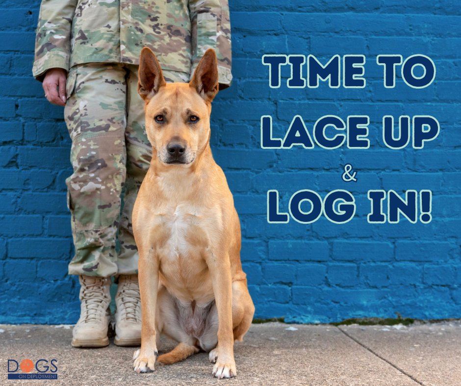 Hey there, DoD Boarders! Have you had a chance to log into your Boarder account lately? We want to make sure your profiles stay active and ready to hit the ground running whenever our service members need you!

#DoDBoarder #DogsonDeployment #BootsontheGround