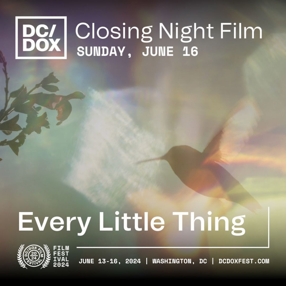 TangledBankHHMI's tweet photo. See EVERY LITTLE THING at the @dcdoxfest!
Behind the glitz of Hollywood, an unassuming woman cares for injured hummingbirds, weaving a magical narrative of love, fragility, healing, and the profound beauty found in small acts of greatness.
🎟️: https://t.co/UsXPFuldGh
#dcdoxfest https://t.co/EkqxfpDqI5