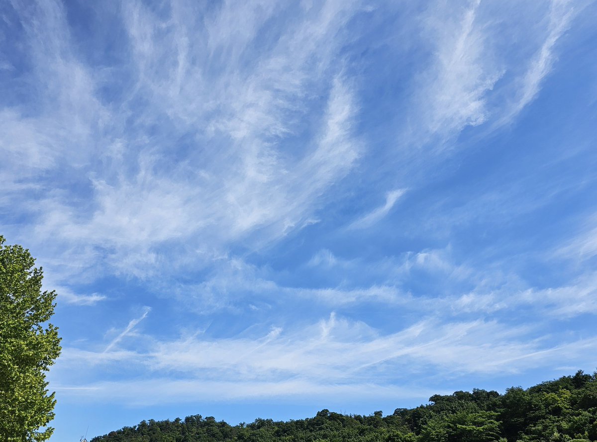 おはようございます🌤

昨日は幸せな時間をありがとうございました🤗
生演奏も最高でした🎸
今日はどんなお知らせがあるのかも、楽しみにしてます😆

音ちゃんと皆さまにとって、素敵な日になりますように...🍀

#オトサーチ
#空ツイ部