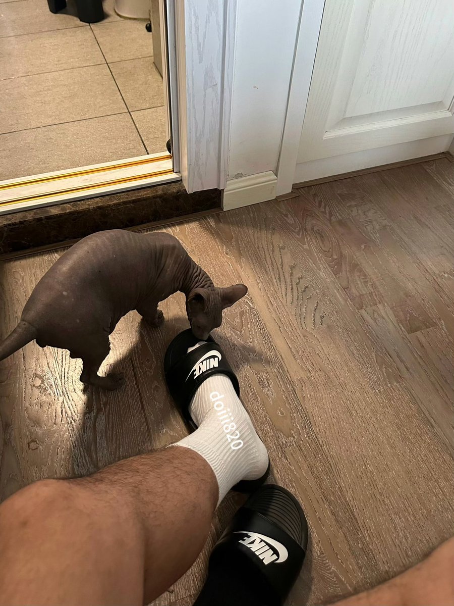 天天想doi tweet media