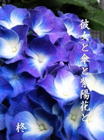 カクヨム掲載短編「彼女と傘と紫陽花と」

雨の季節に毎年見かける彼女
寂しげで儚げなその背中を
僕は追わずにいられなかった

kakuyomu.jp/works/11773540…

是非、ご覧下さい

#カクヨム