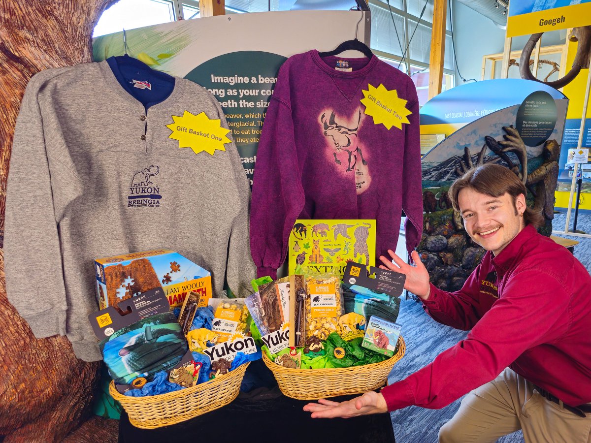 Yukon Beringia Interpretive Centre tweet media