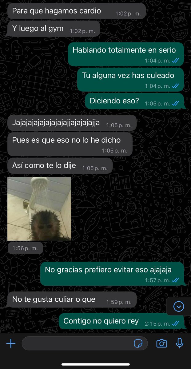María José tweet media