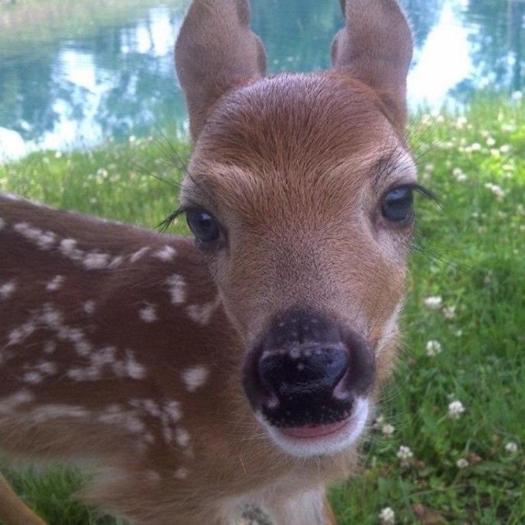 can i come over and stare at you like this