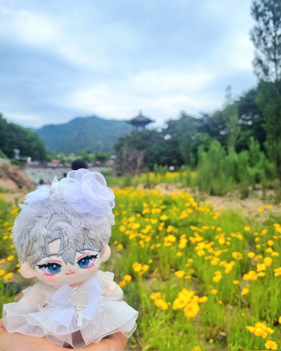 🌼꽃송이 활짝🌼

#찻잎을_동동_티백시리즈 
#모란구_솜솜동_홈스테이