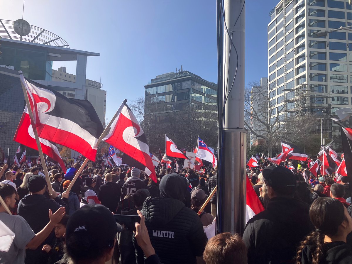 waateanews's tweet photo. From the center of the largest city in Aotearoa, Auckland - crowds are gathering for the #carkoi #hikoi Source X #nzpol https://t.co/LdlDhDxssy