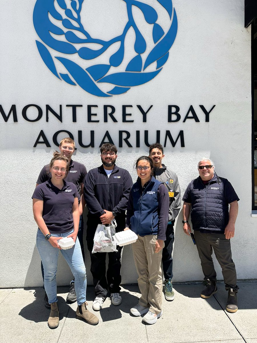 Chern0612's tweet image. It was such an incredible experience interning at the Monterey Bay Aquarium! Being part of the Jelly team has, for the better, changed who I am as a scientist and as a person. I’ve gained immense respect for aquarist work and a love for Sea Jellies.🪼#LatinosInSTEM #MarineScience