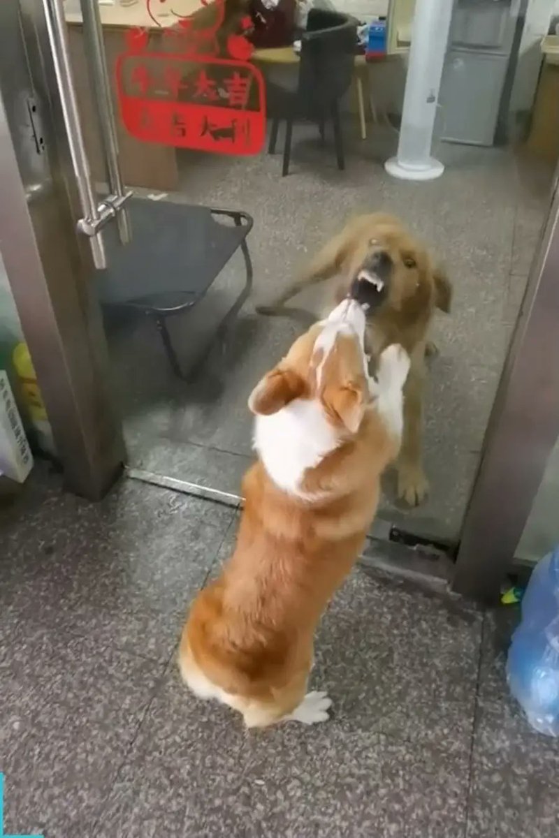 Libya_alger's tweet image. شخصية دولة في شمال افريقيا ولن اذكر اسم الدول حتى لايزعل #الجزائري