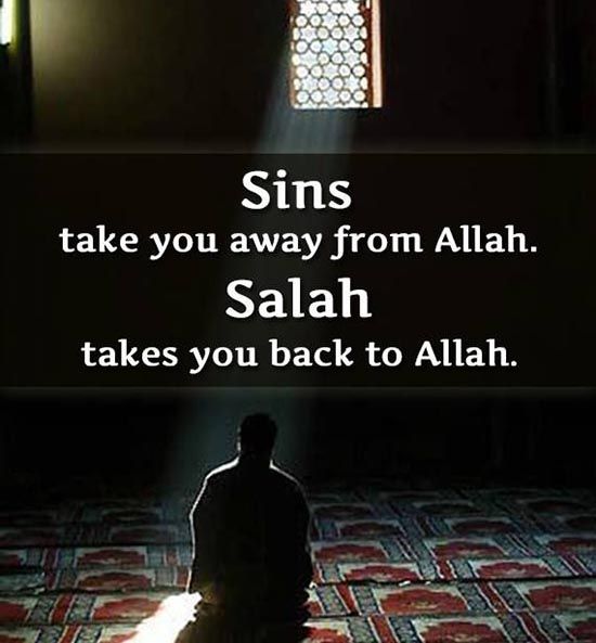 ✨ FAJAR PRAYER 🤲 
Sins take you away from Allah, 
SALAH takes you back to Allah ❣️