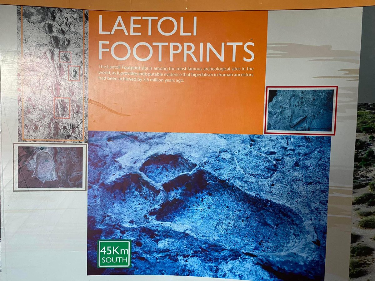 The Olduvai Gorge is nicknamed the “Cradle of Mankind” and dates back over 1.75 million years ago. The Laetoli Footprints are 27 miles South of here and date back over 3.6 million years ago. 

Travel/Study > Talking on Twitter (X)
#AtlantisBuild #FivePercenter #KnowledgeOfSelf