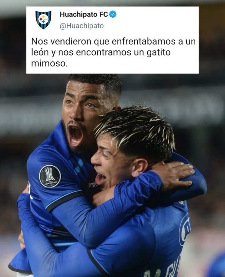 TiziTripero tweet media