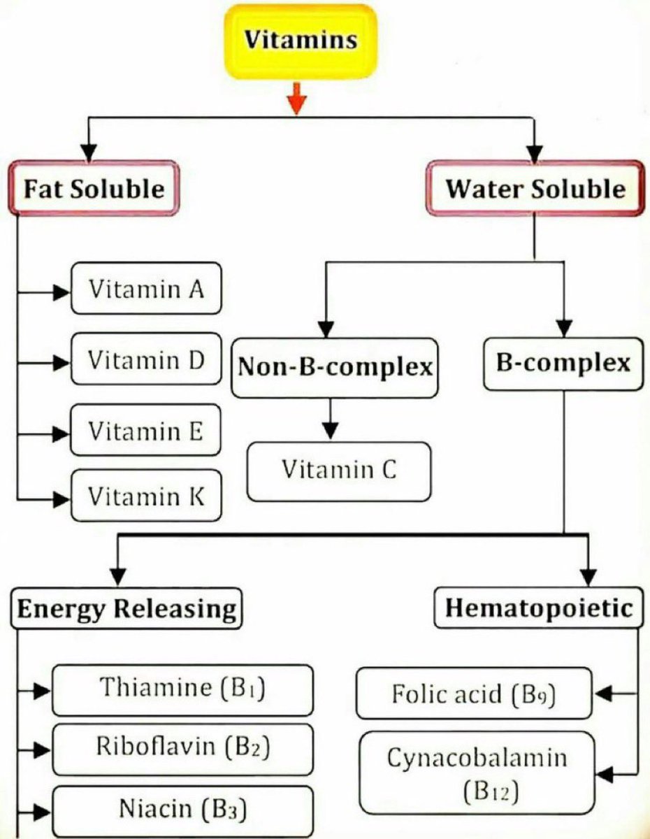 Different types of vitamins

#Nutrition #nutrients #Vitamin