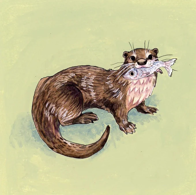 that's right we celebrate #worldotterday at poodlewool headquarters!!!! motherfuckers!!!!!!